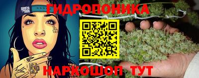 крисы Канаш