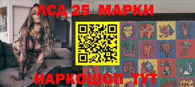 Альфа ПВП Кандалакша