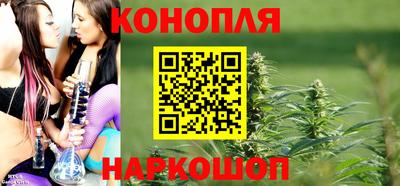 ешки Камышлов