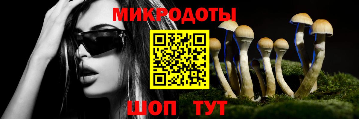 Псилоцибиновые грибы GOLDEN TEACHER  Вход с VPN  Сунжа 