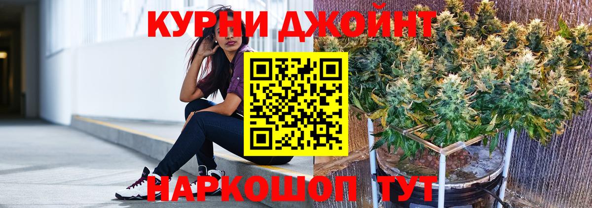 Канабис планчик Сунжа
